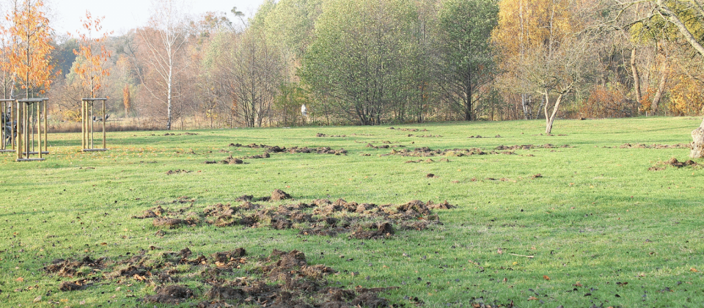 Sulla competenza degli AATTC in materia di indennizzo per danni da fauna selvatica alle colture agricole (TAR Molise, Sez. I, 19 settembre 2022, n. 614)