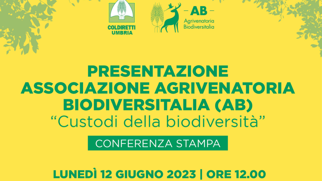 <strong>PRESENTATA IN CONFERENZA STAMPA A PERUGIA, </strong><strong>L’ASSOCIAZIONE AGRIVENATORIA BIODIVERSITALIA (AB)</strong> <strong>PRESENTATA IN CONFERENZA STAMPA A PERUGIA, </strong><strong>L’ASSOCIAZIONE AGRIVENATORIA BIODIVERSITALIA (AB)</strong>