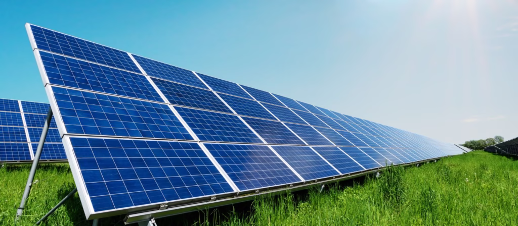 Report ISPRA sul consumo di suolo 2024: consumo record e la contraddizione sul fotovoltaico Report ISPRA sul consumo di suolo 2024