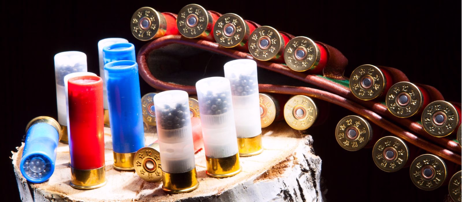 Bando piombo munizioni Le ultime novità