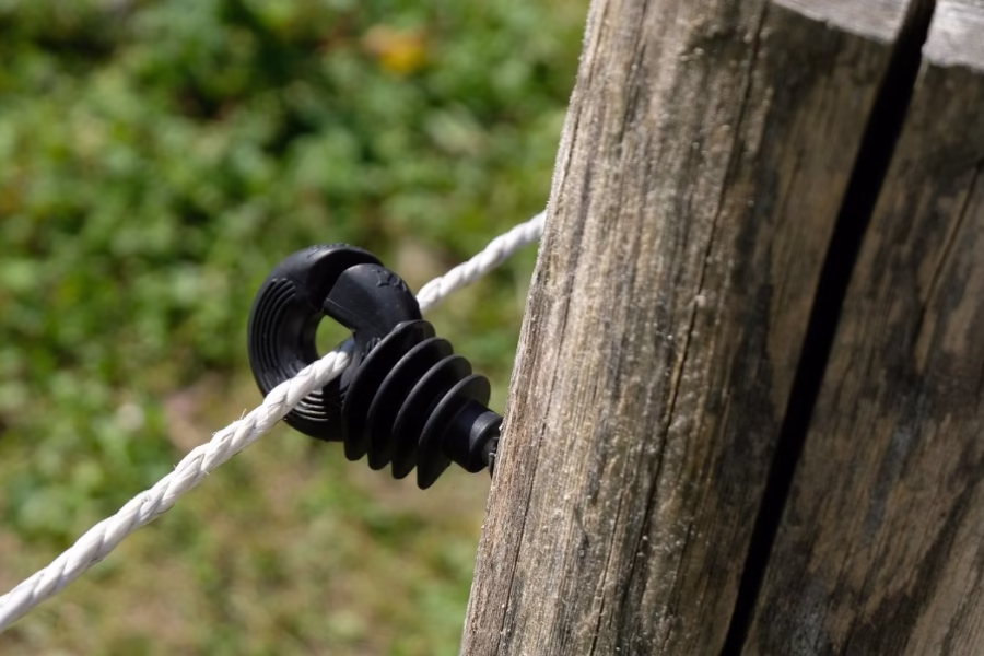 Bando Emilia-Romagna 2026: 2 milioni di euro per prevenire danni da fauna selvatica in agricoltura Bando Emilia-Romagna 2026: 2 milioni di euro per prevenire danni da fauna selvatica in agricoltura