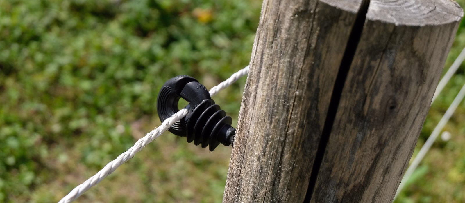 Bando Emilia-Romagna 2026: 2 milioni di euro per prevenire danni da fauna selvatica in agricoltura