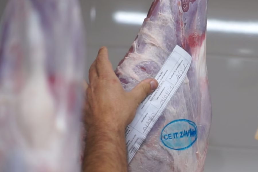 AB lancia un corso per "Persona Formata" e biosicurezza per il contenimento della PSA corso per "Persona Formata" e biosicurezza