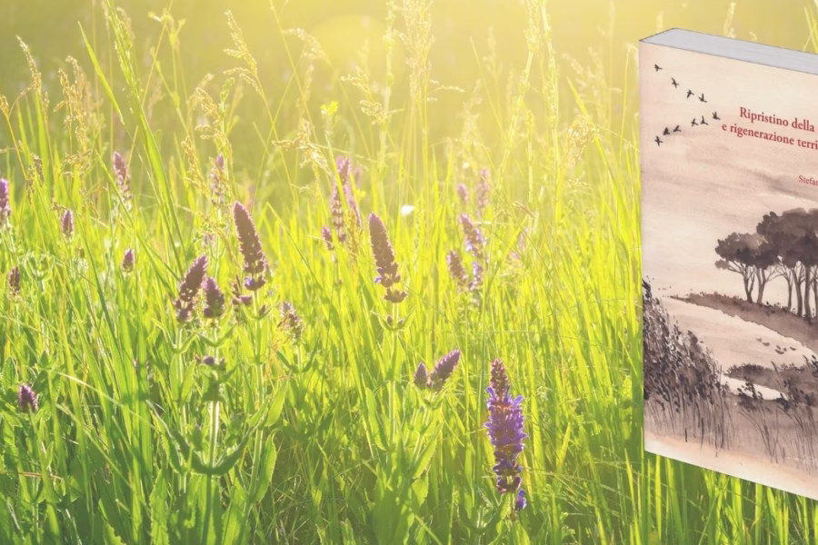 Dalla conservazione al ripristino: La nuova sfida della biodiversità su #Natura