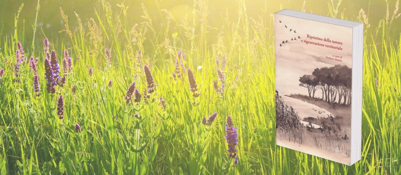 Dalla conservazione al ripristino: La nuova sfida della biodiversità su #Natura