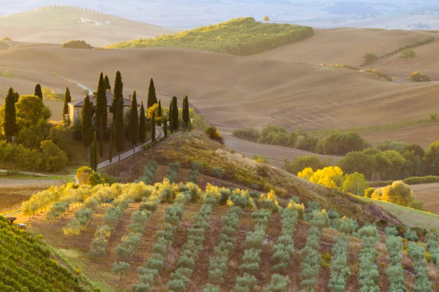 Verso il 2030 e il 2050: Il Ruolo di AB nel Ripristino della Natura in Italia