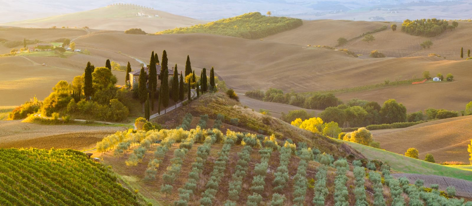 Verso il 2030 e il 2050: Il Ruolo di AB nel Ripristino della Natura in Italia
