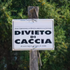 È possibile vietare la caccia sui propri terreni per motivi etici La Sentenza del TAR Pescara che scuote la 1571992
