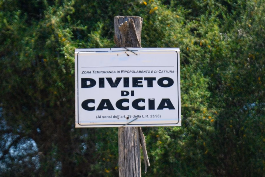 È possibile vietare la caccia sui propri terreni per motivi etici La Sentenza del TAR Pescara che scuote la 1571992