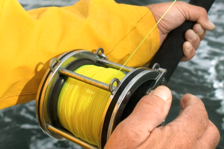 Pesca Sportiva 2026: Quando la Burocrazia Diventa uno Scoglio Insormontabile