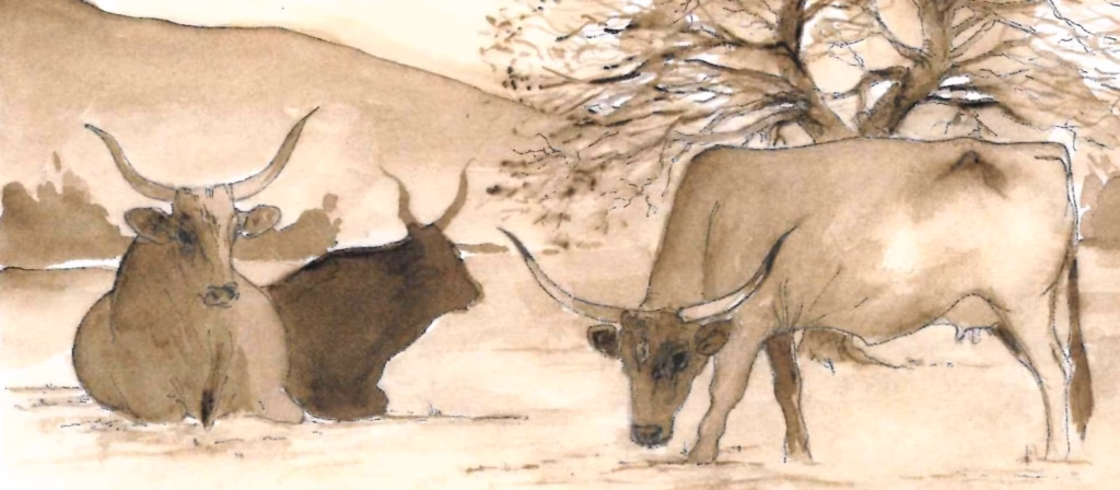 Margini d’Italia: Coesione e sviluppo delle aree interne a Palazzo Rospigliosi