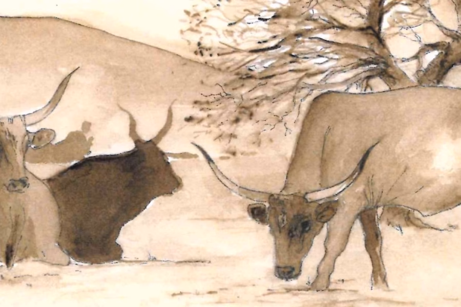 Margini d’Italia: Coesione e sviluppo delle aree interne a Palazzo Rospigliosi