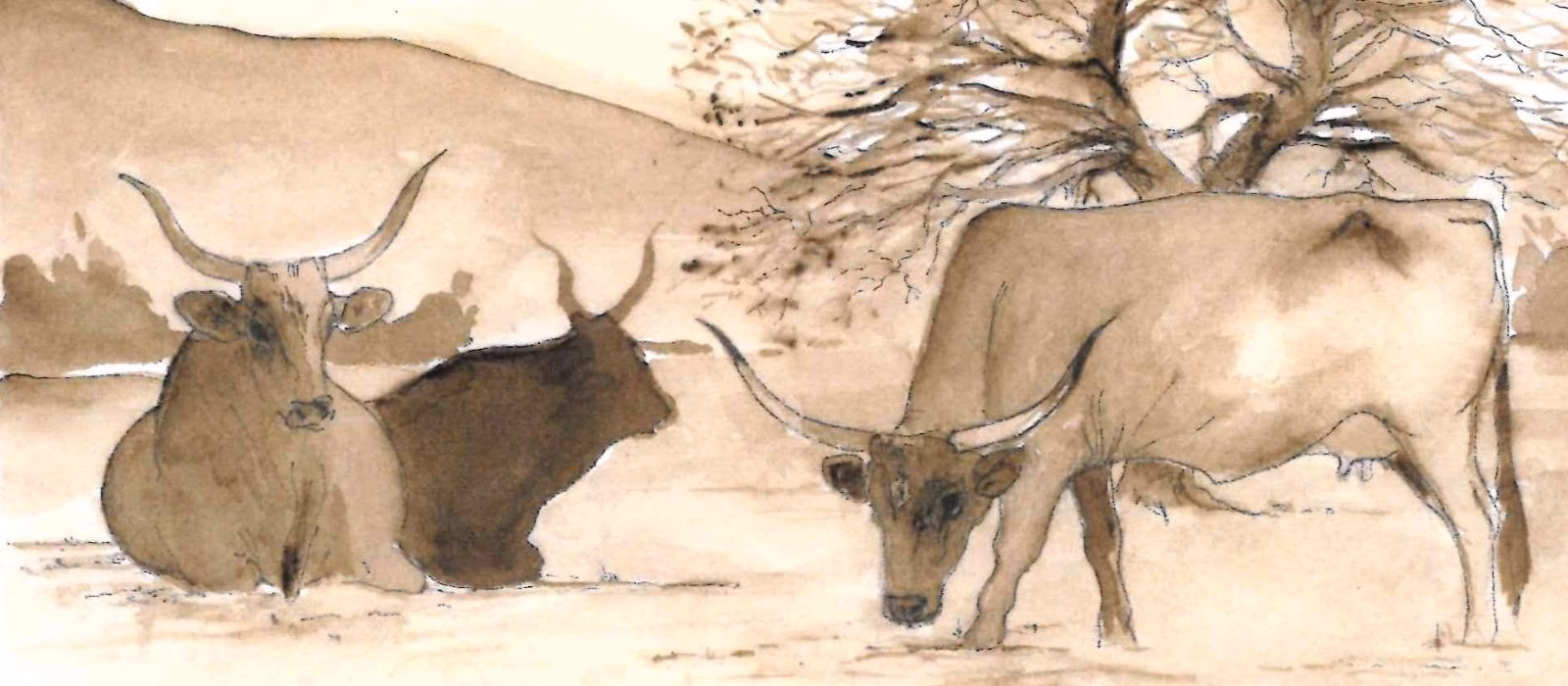 Margini d’Italia: Coesione e sviluppo delle aree interne a Palazzo Rospigliosi