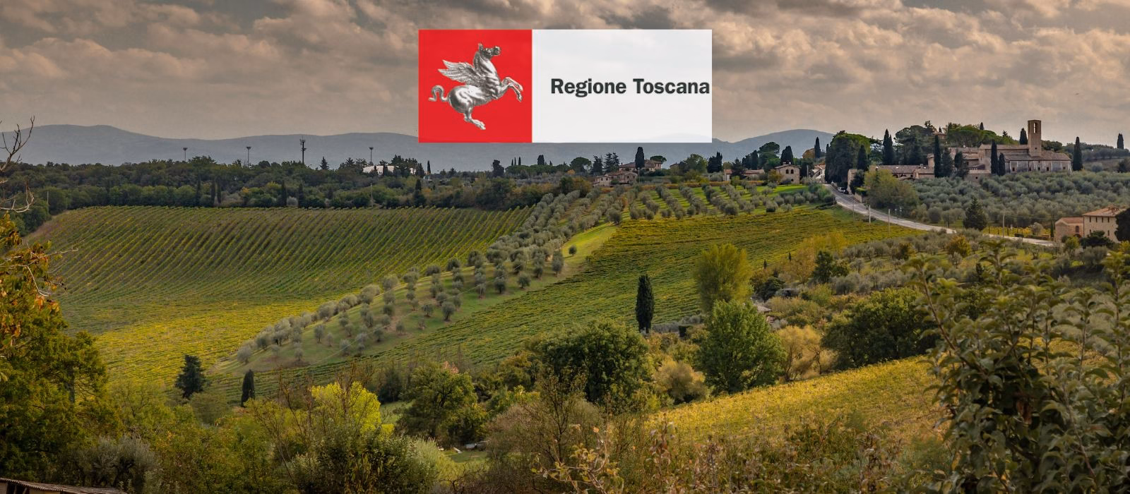 Approvato il primo Piano Faunistico-Venatorio Regionale della Toscana: tutela agricola, gestione ungulati e nuove regole