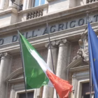 Comitato Tecnico Faunistico-Venatorio (CTFVN): arriva la riorganizzazione con il Decreto legge sulla Pubblica Amministrazione